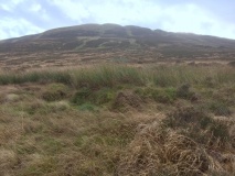 Caulside Burn Cairn North