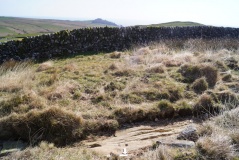 Cairnholy 6