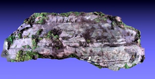 Neilson's Hill