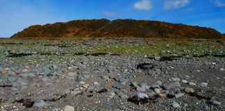 Barsalloch