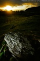 Cairnholy 1 - PID:44085