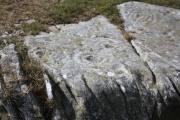 Drumtroddan Cup and Ring Markings - PID:118494