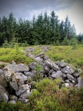 Windy Edge - PID:274559