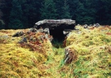 White Cairn, Bargrennan