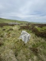Caulside Burn Cairn South - PID:294353