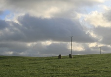 Milton Hill