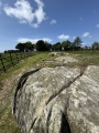 Drumtroddan Cup and Ring Markings - PID:294355