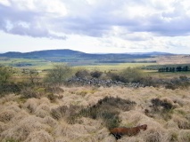 Slewcairn