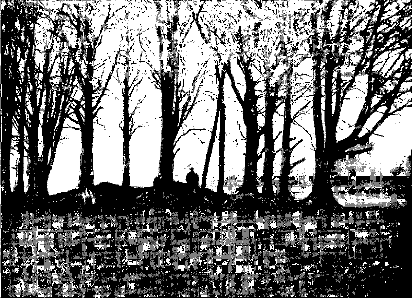 Mossknowe Tumulus