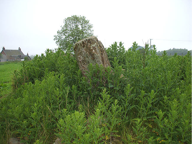 Earlseat