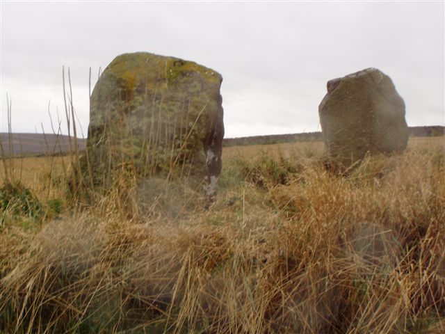 North Glassmount