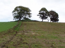 Hare Law (Fife)
