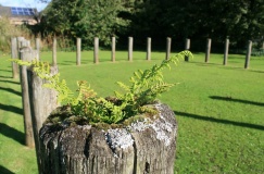 Balfarg Riding School mortuary enclosure and henge