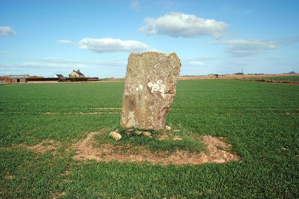 West Pitcorthie