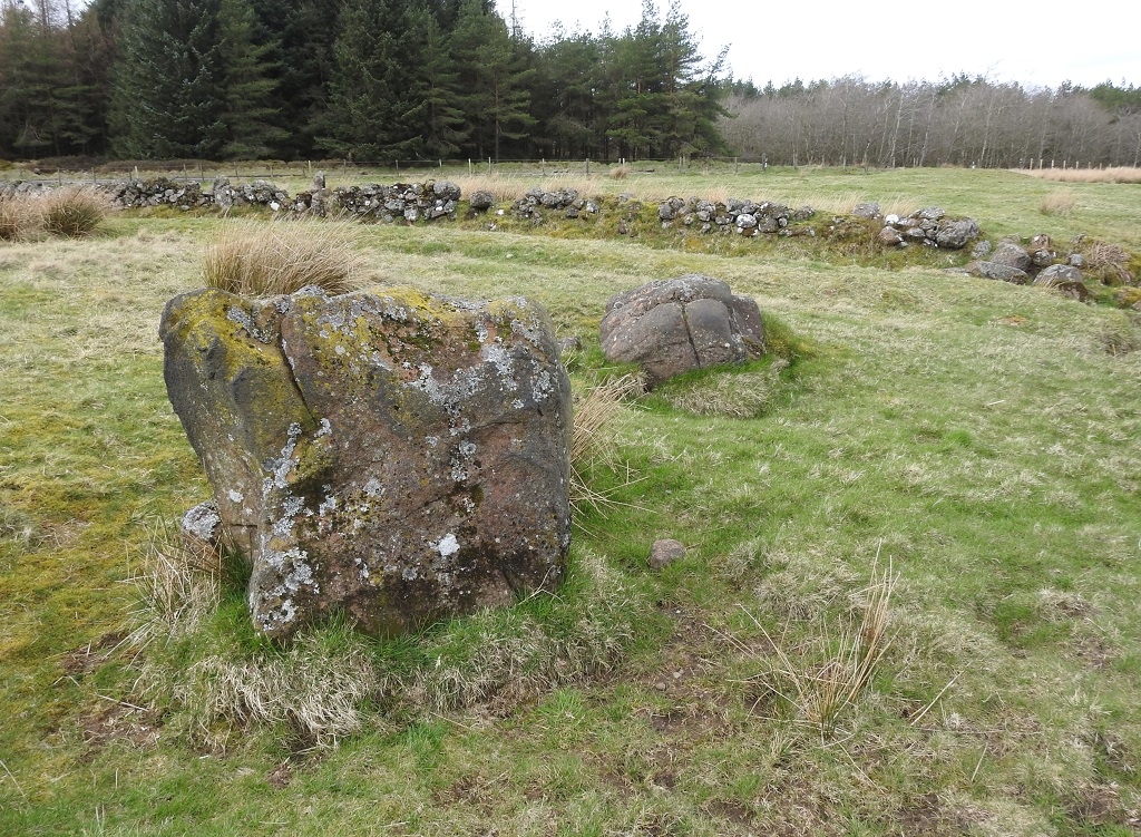 Gleniffer Braes Menhirs