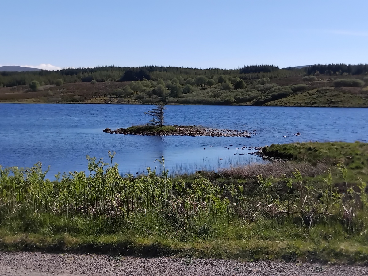 Loch Borralan SE Crannog