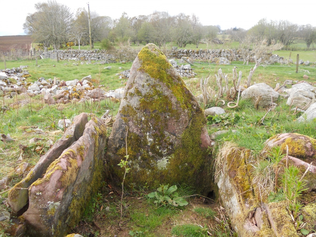 Carn Glas (Mains of Kilcoy) SW Chamber. (2012)