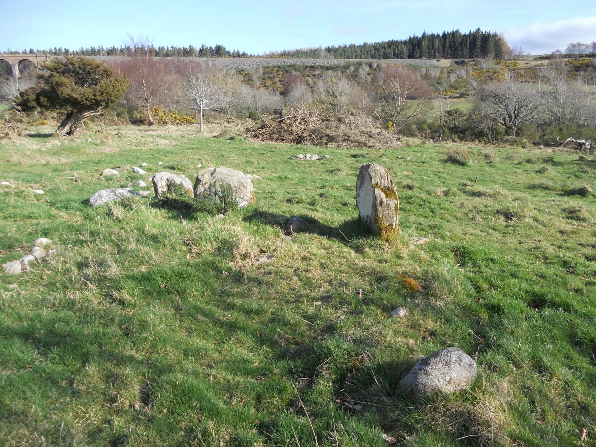 Mains of Clava SE