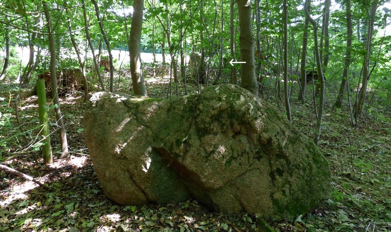 Click for the gallery page to add comments and vote (PID:190889) Auldearn Stone Row