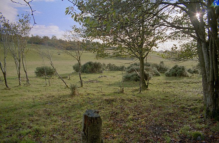 Balnuaran of Clava E