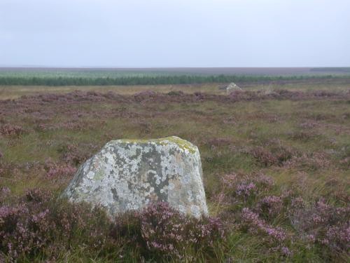 Click for the gallery page to add comments and vote (PID:738) Lower Camster Stones