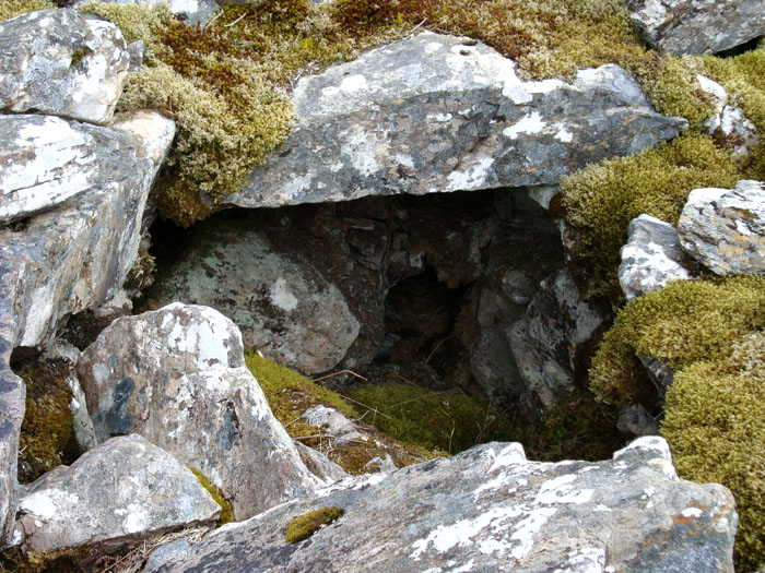 Carn na Sean-chreige (PID:40023) Carn na Sean-chreige