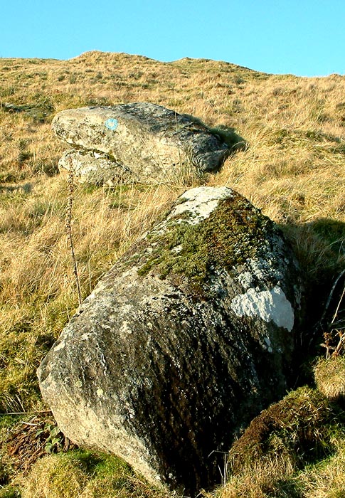 Carr Brae (NG89782451). Cup marked boulder.