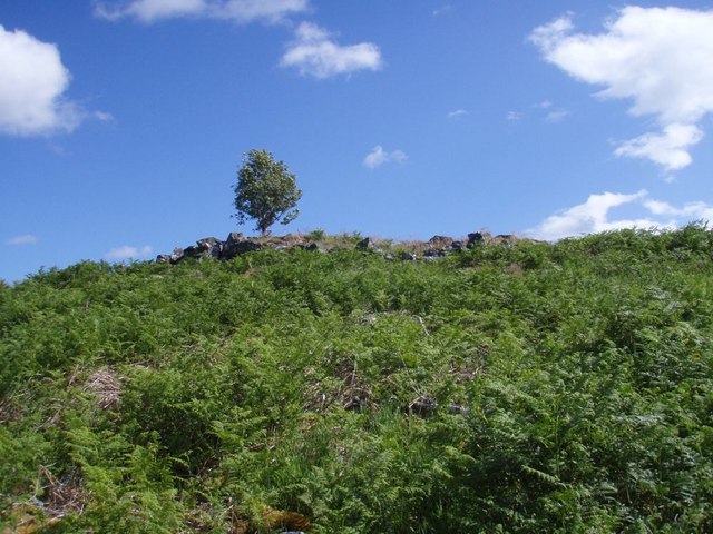 Click for the gallery page to add comments and vote (PID:56030) Broch in Dalchork Wood