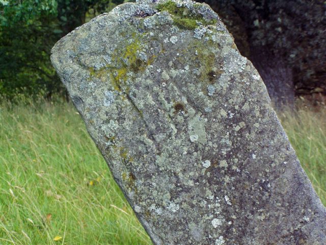 Dunachton