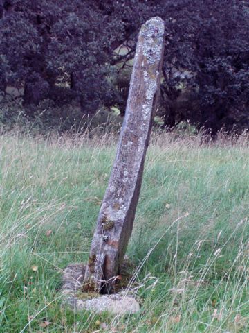 Dunachton