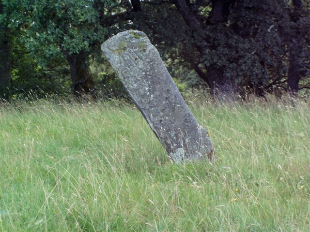 Dunachton