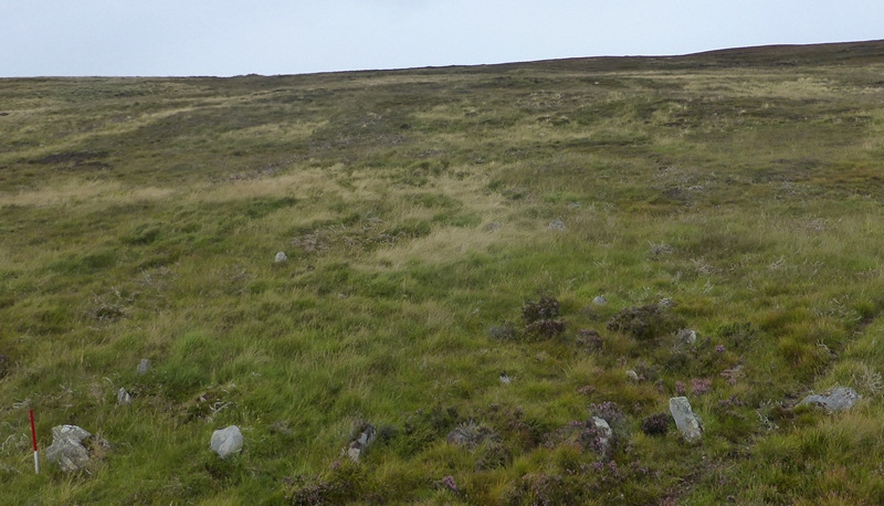 Click for the gallery page to add comments and vote (PID:157799) Kinbrace Stone Rows
