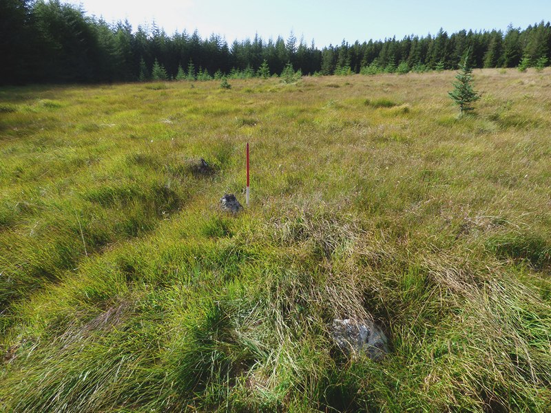 Click for the gallery page to add comments and vote (PID:162676) Loch Rimsdale