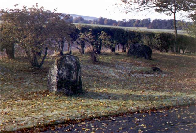 Click for the gallery page to add comments and vote (PID:5019) Auldearn Stone Circle