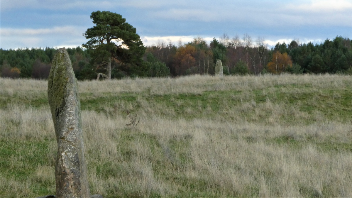 The stone line looking NE, Autum 2022.