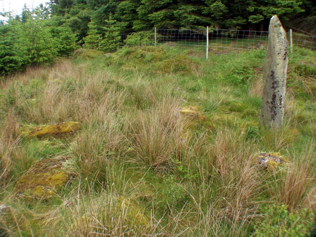 Sannaig NR41