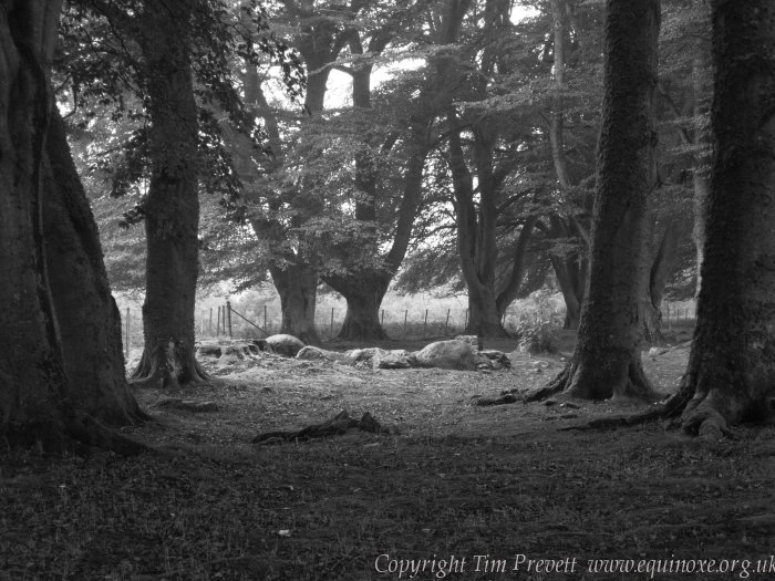 Balnuaran of Clava Kerb Cairn