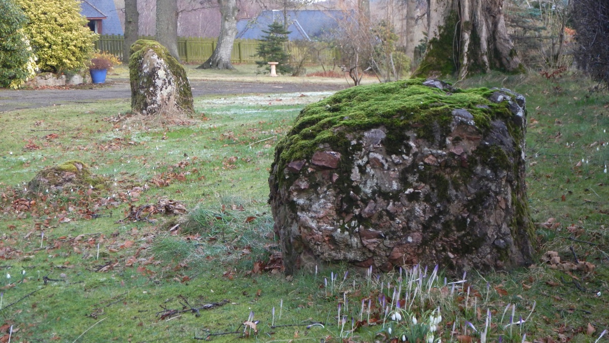 Click for the gallery page to add comments and vote (PID:268768) Auldearn Stone Circle