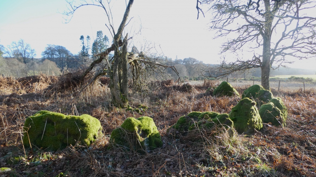 Click for the gallery page to add comments and vote (PID:268296) Belladrum Chambered Cairn