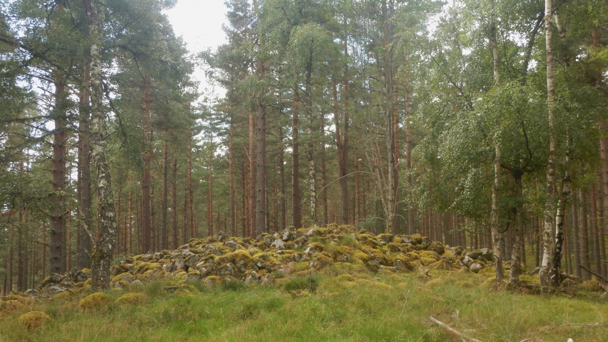 Click for the gallery page to add comments and vote (PID:264126) Auchendean Hill Cairn