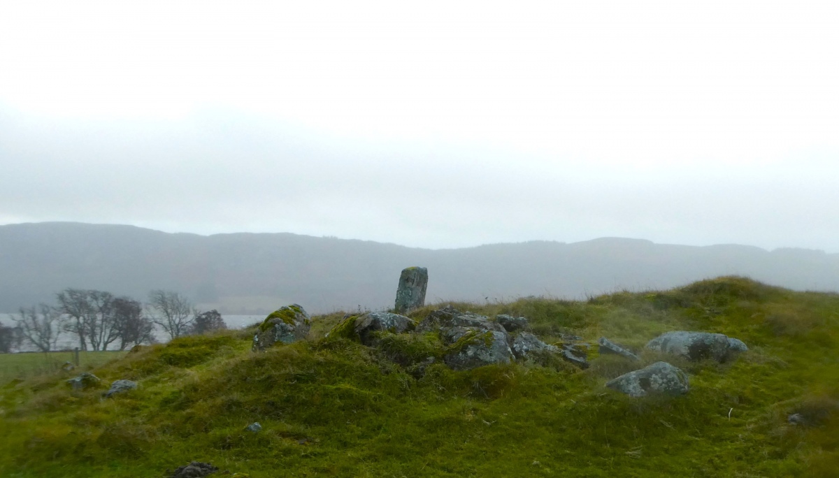 The ring-cairn situated in pasture sloping gently down to the loch