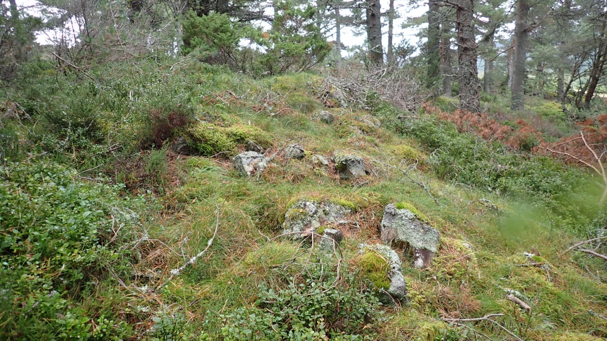 Rynettin Long Cairn