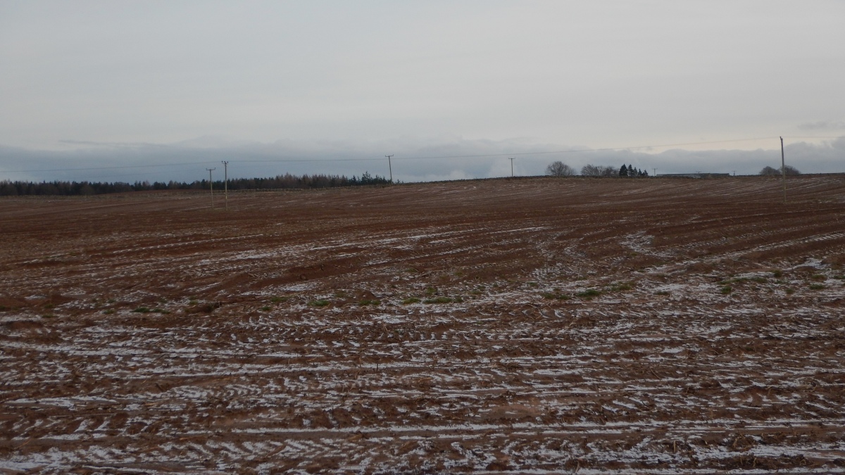Click for the gallery page to add comments and vote (PID:268760) Golford Ring Cairn