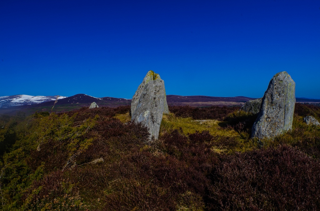 Click for the gallery page to add comments and vote (PID:131137) Heights of Brae