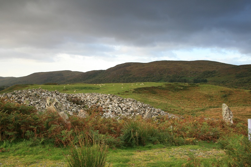 Coille na Borgie