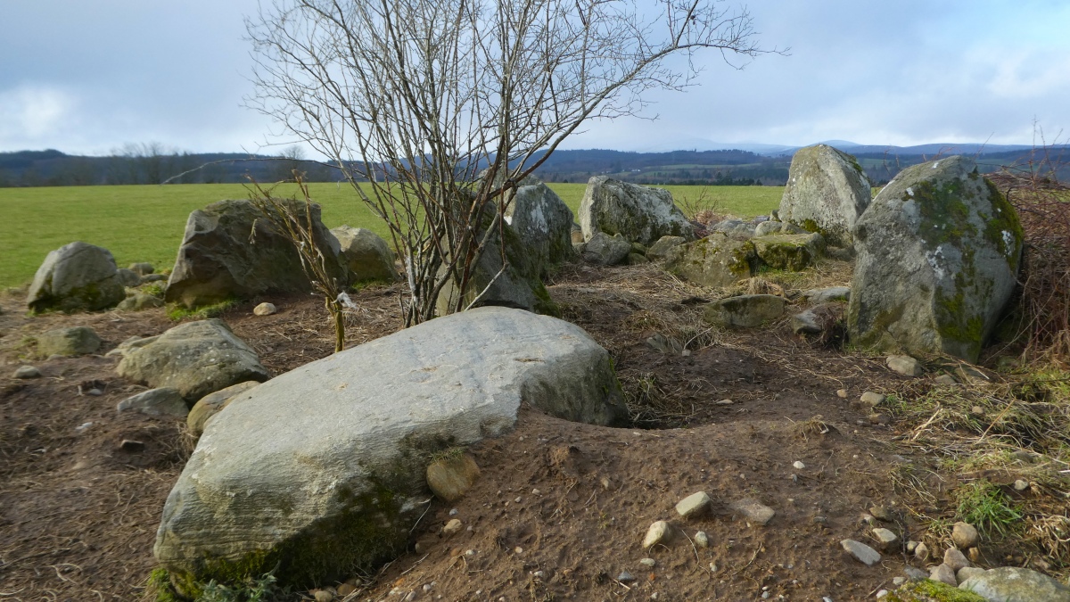 Click for the gallery page to add comments and vote (PID:268297) Belladrum South