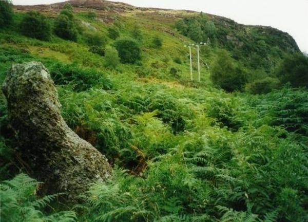 Aberscross stone circle, Showing the circle when very overgrown.