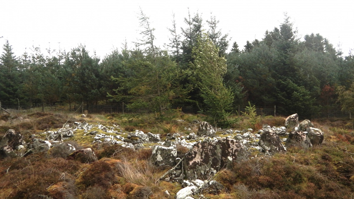 Click for the gallery page to add comments and vote (PID:264272) Ballinluig Cairn
