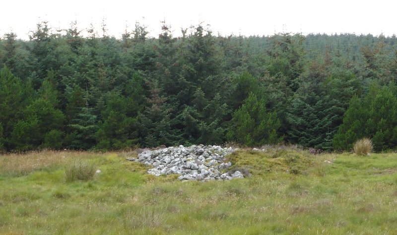 Grey Cairns of Camster : Round Cairn