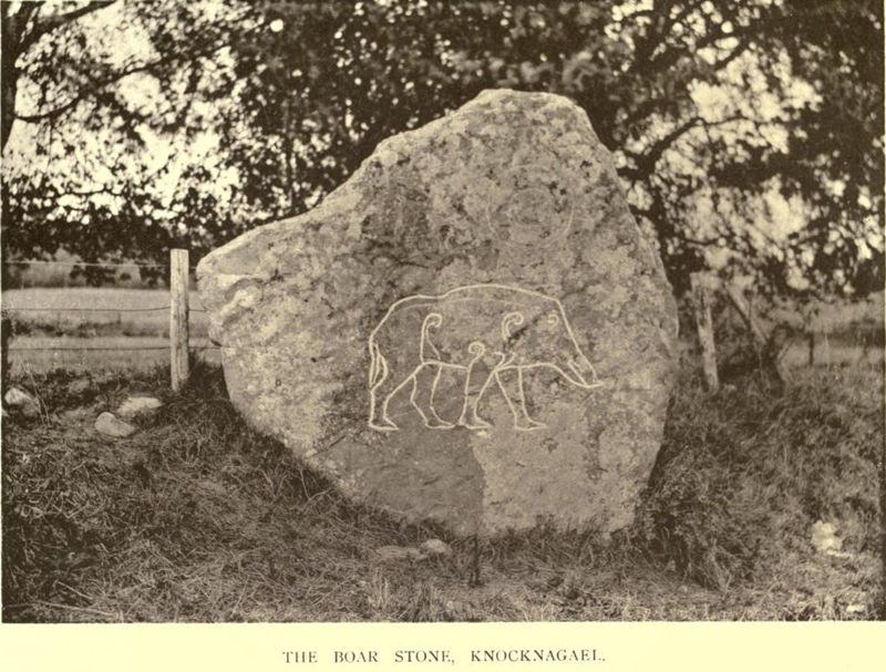 Knocknagael